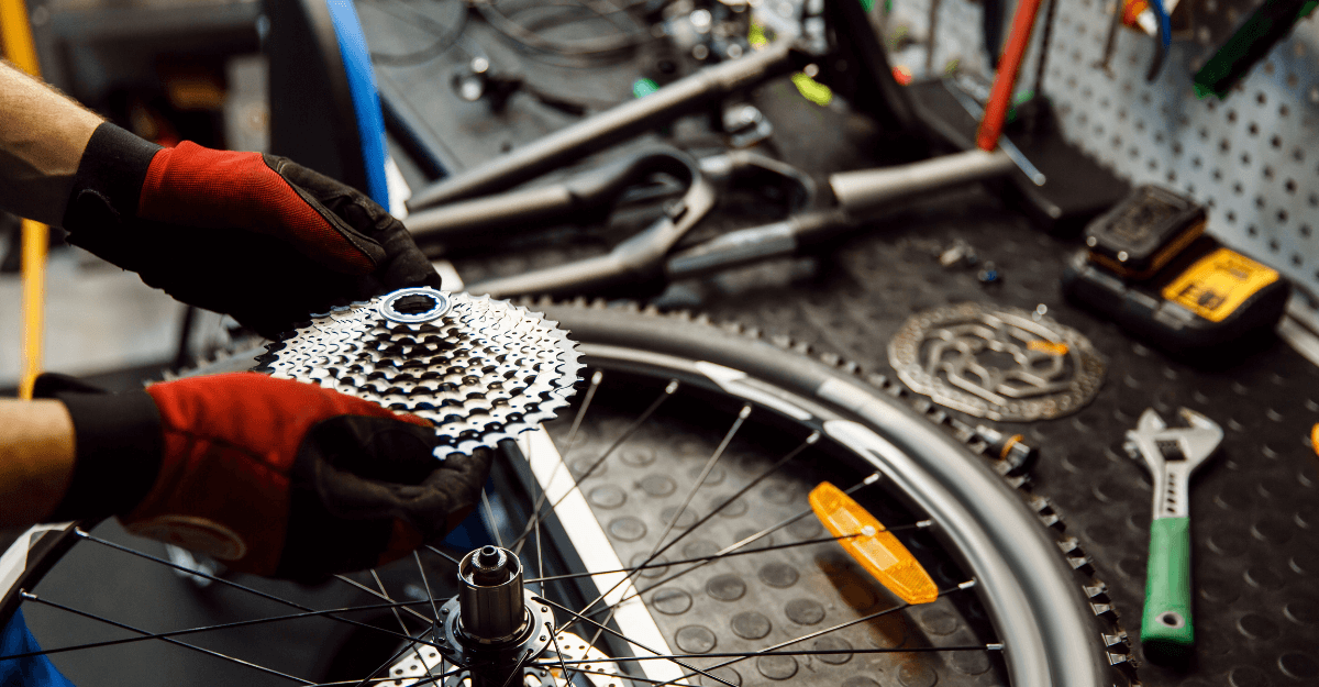 How to Check Your Bike Cassette for Wear