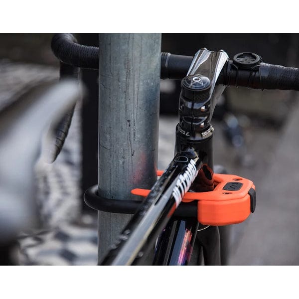 Cycle Tribe Colour Hiplock DX D Lock