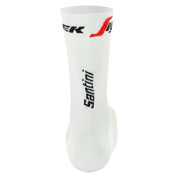 Cycle Tribe Product Sizes Santini Trek Segafredo Socks - 2021