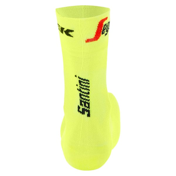 Cycle Tribe Product Sizes Santini Trek Segafredo Socks - 2021